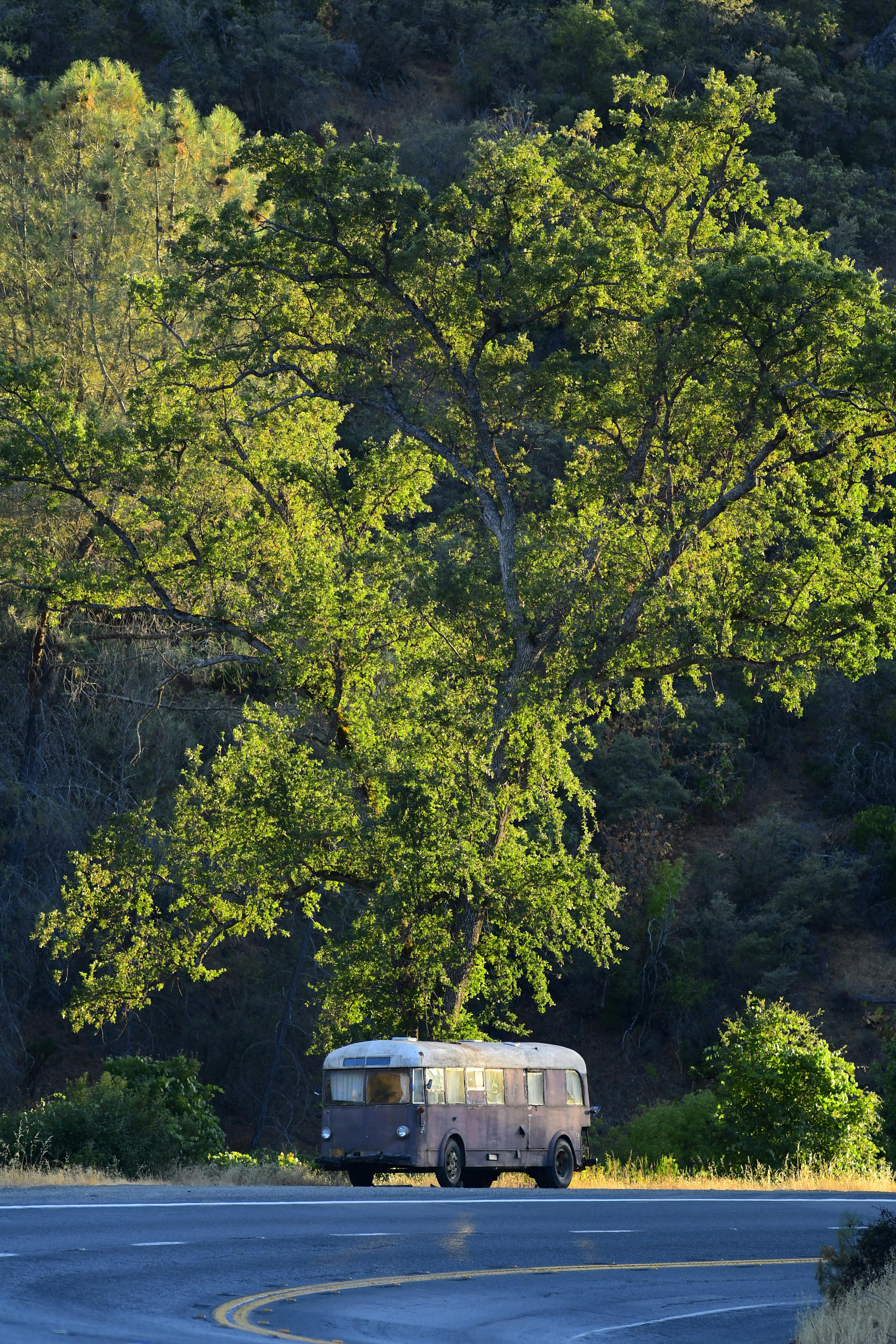 Why Choose Tradeshow Charter Bus Transportation in North Fair Oaks, California?