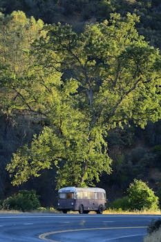 A vintage bus drives along a picturesque road in Clearlake, CA surrounded by lush trees.