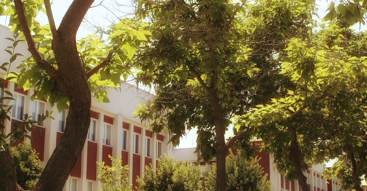 大榮劍橋國際雙語學校師生2025溫哥華暑期計畫正式啟動