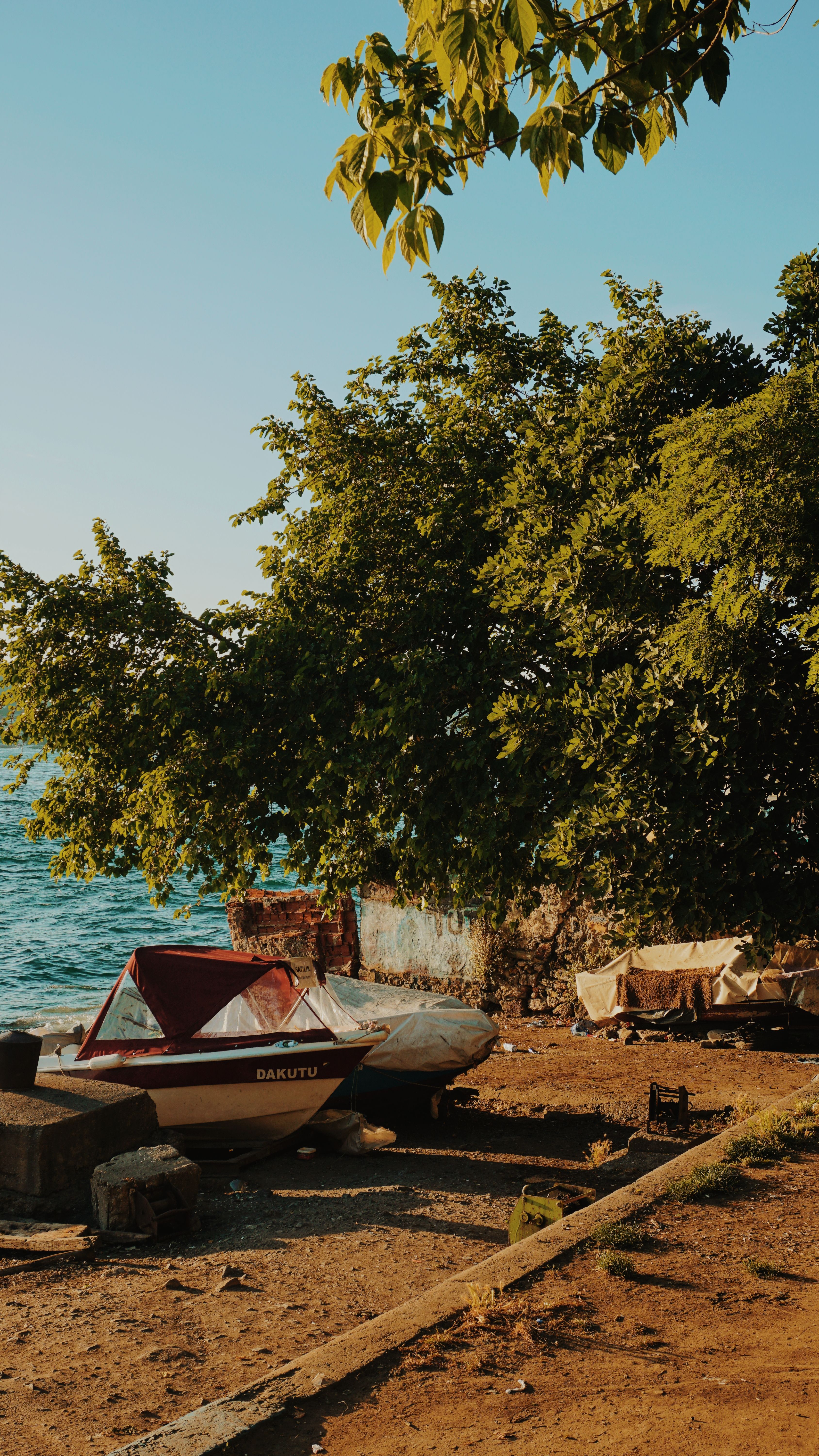 Peaceful lakeside view featuring boats, lush trees, and a clear blue sky.