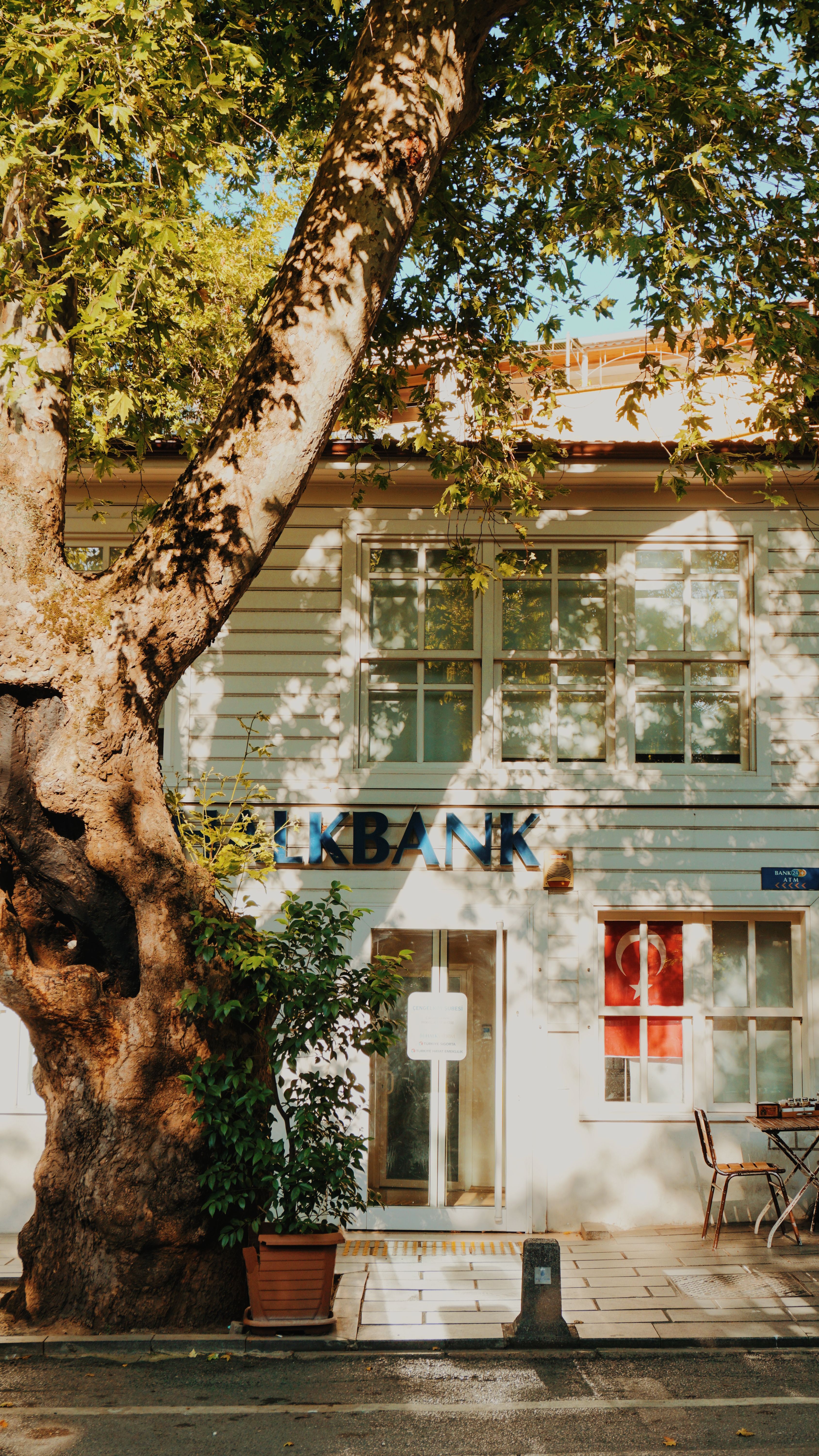 Charming sunlit facade of a traditional building with a large tree, offering copy space.