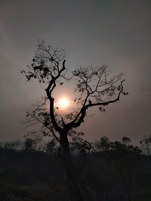 Free Sunset  Stock Photo
