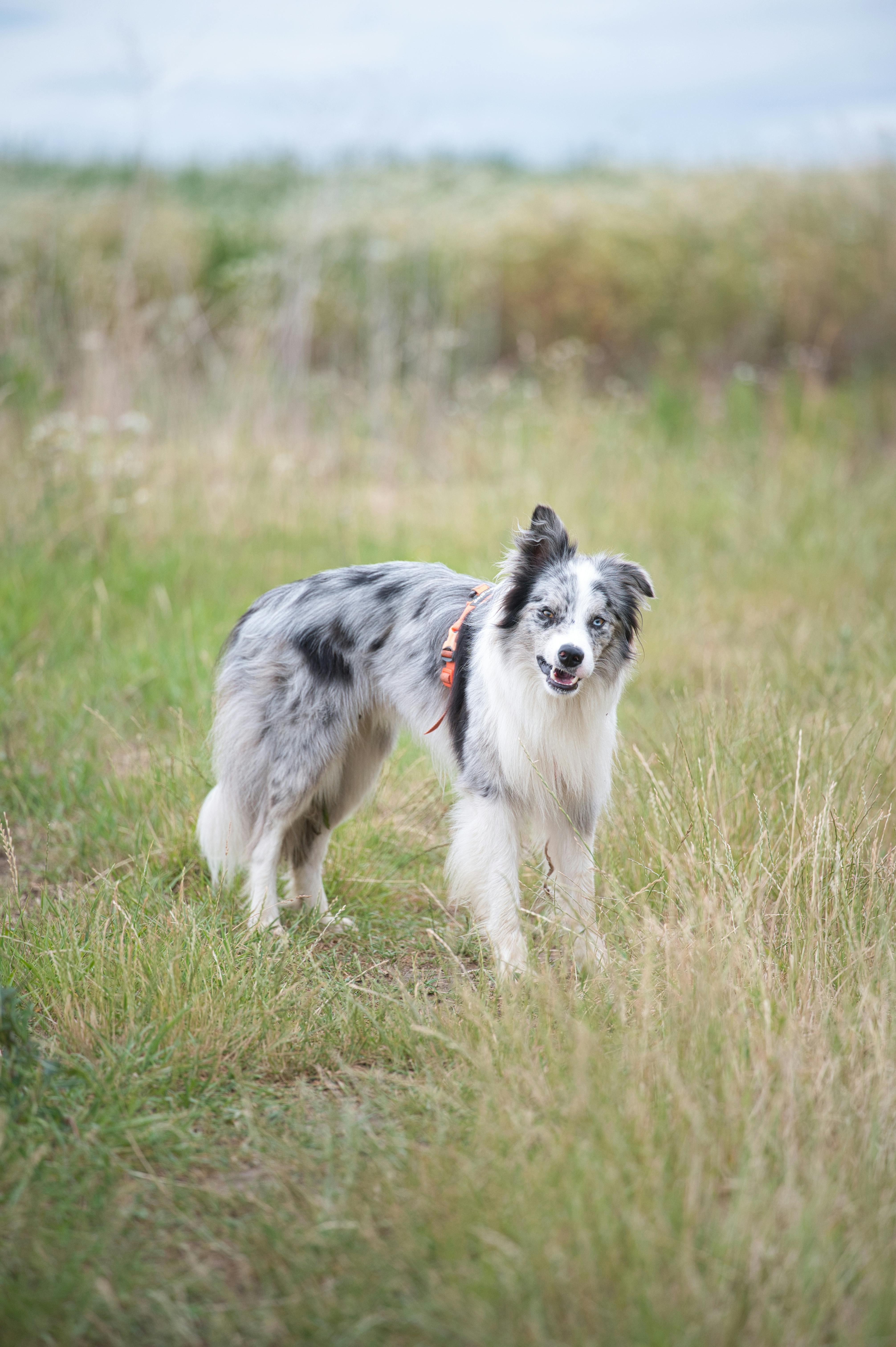 Free+360+Psd Photos, Download The BEST Free Free+360+Psd Stock Photos ...