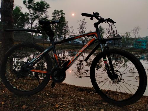 Free Cycle & Sun  Stock Photo