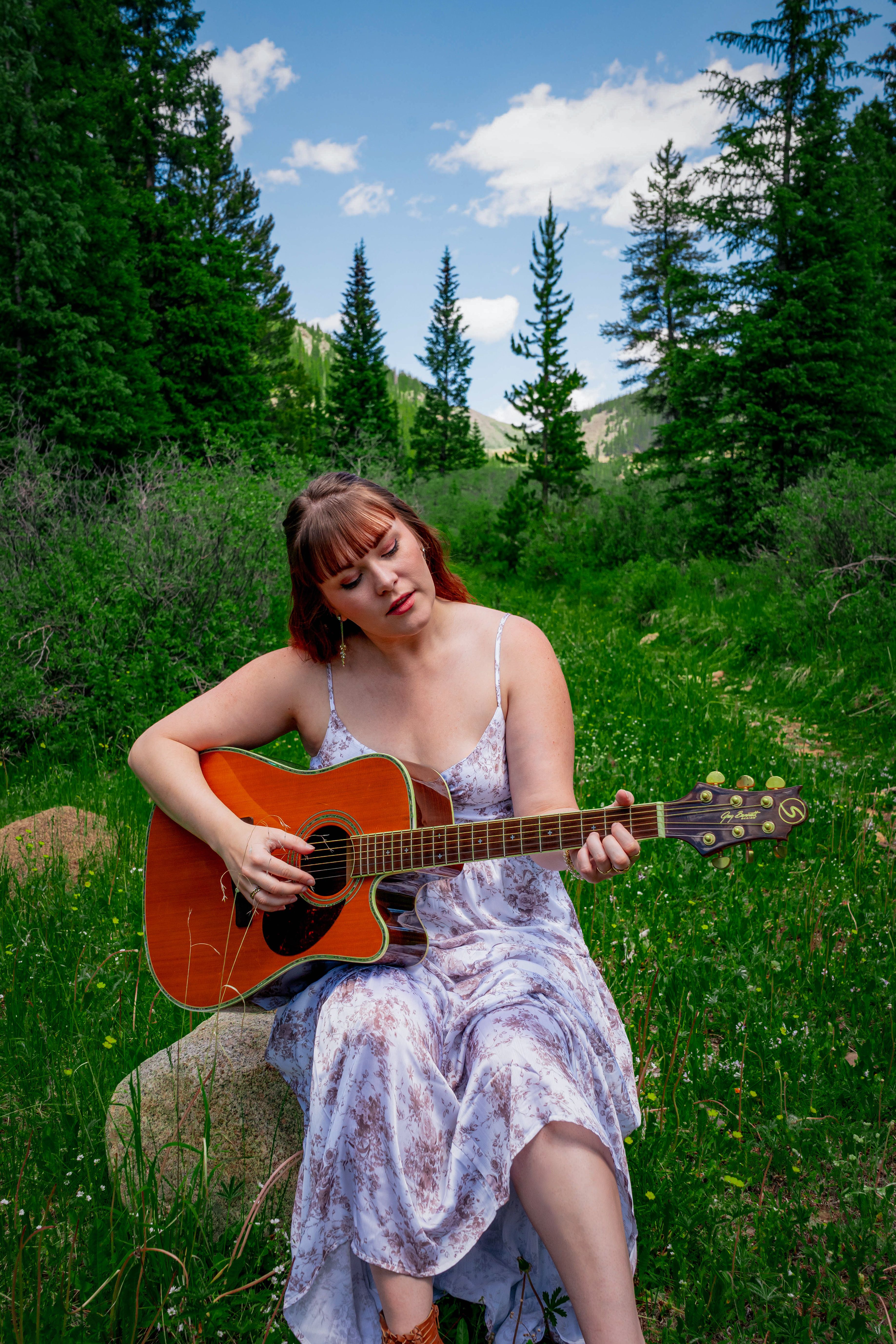 Music Forest Photos, Download The BEST Free Music Forest Stock Photos ...