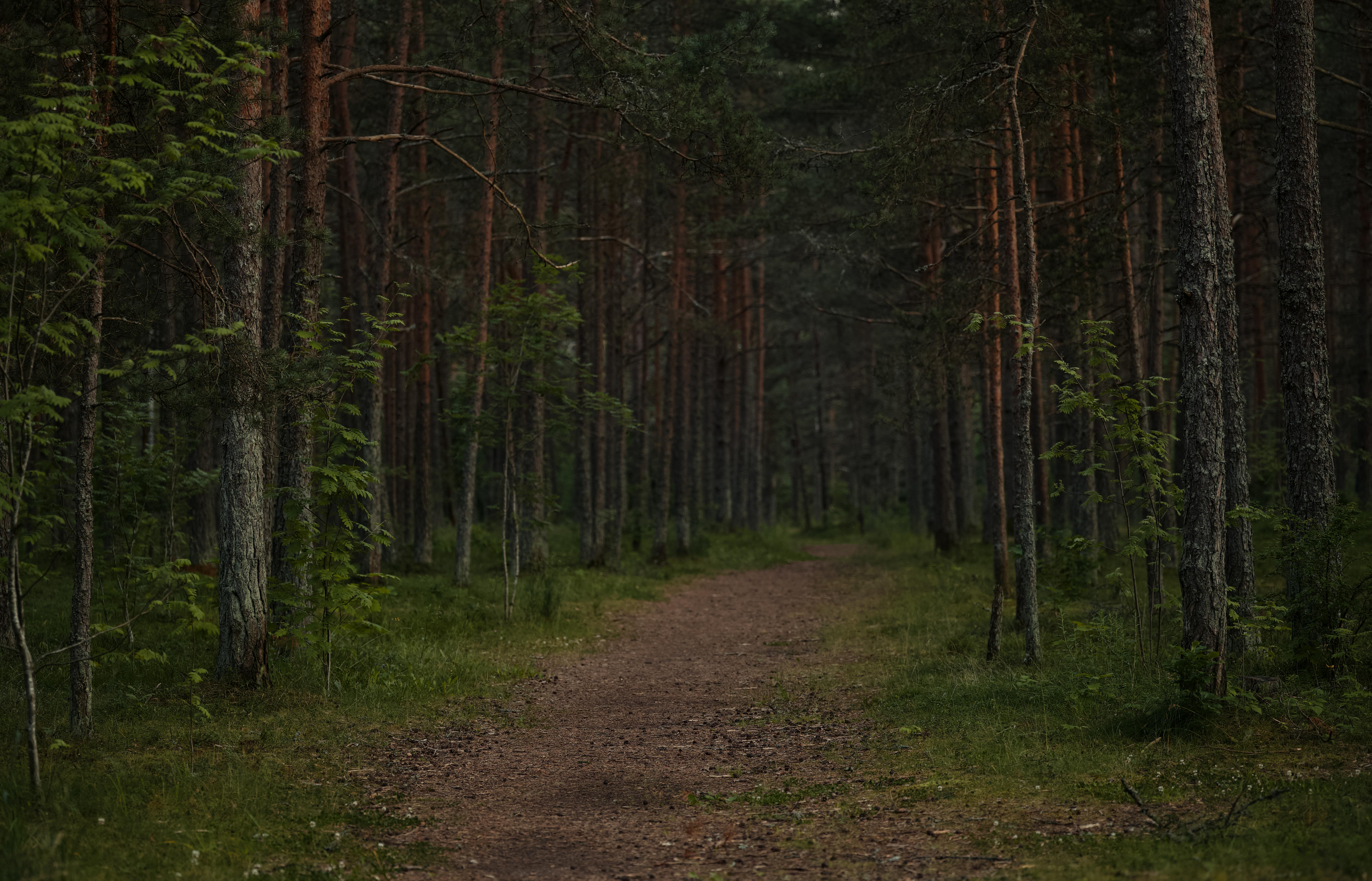 Sudden Silence in an Otherwise Active Area