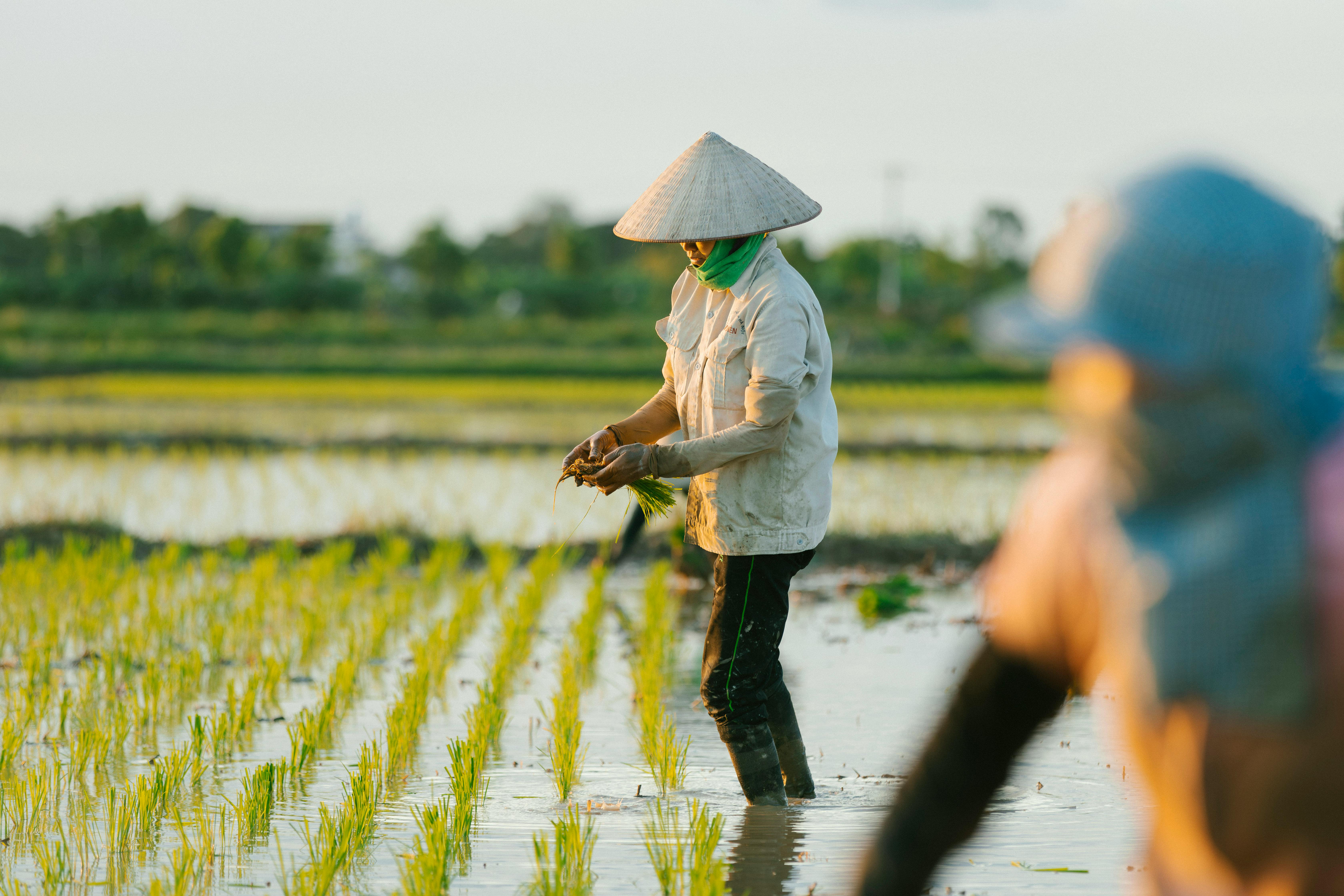 The Ultimate Guide to Sustainable Living