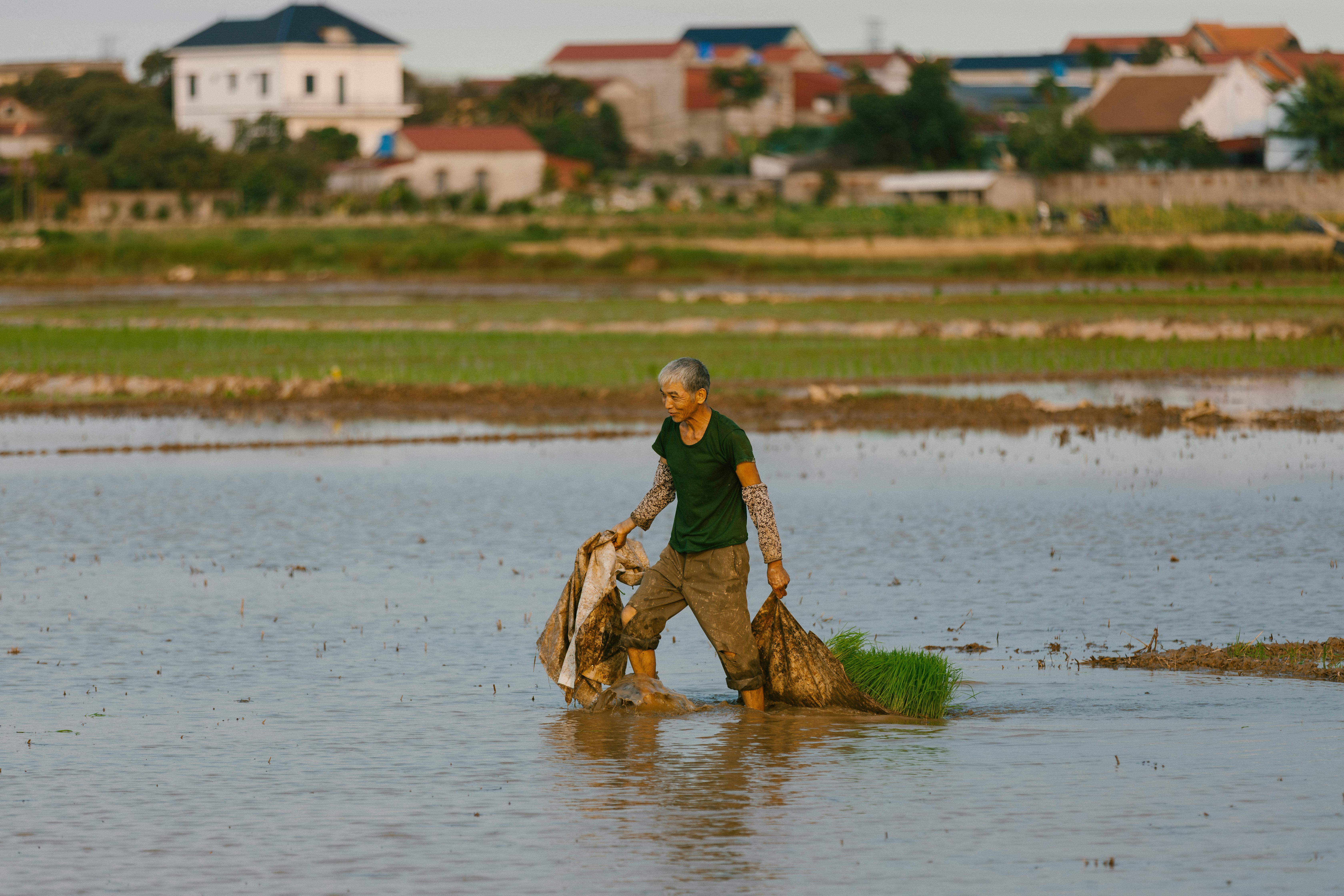 Many farmers utilize life insurance for farm financing — Photo by HONG SON on Pexels