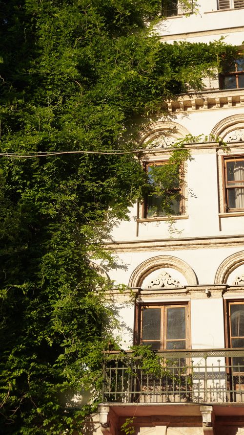 Free Ornate historic building facade covered in lush green ivy during daylight. Stock Photo