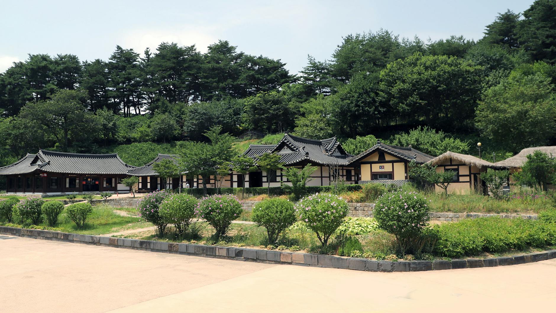 Scenic view of traditional Korean village with Hanok houses surrounded by lush greenery.