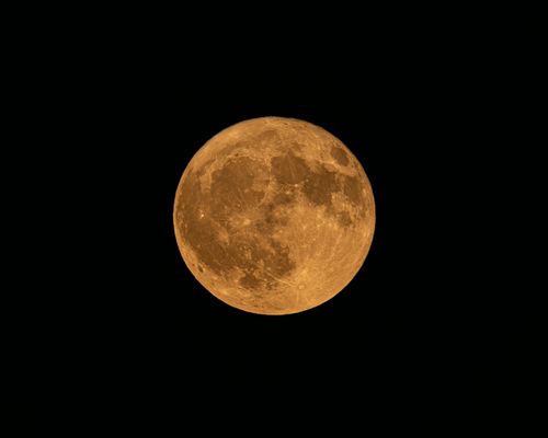 Free A beautiful golden full moon captured in a clear night sky from Canonsburg, PA. Stock Photo