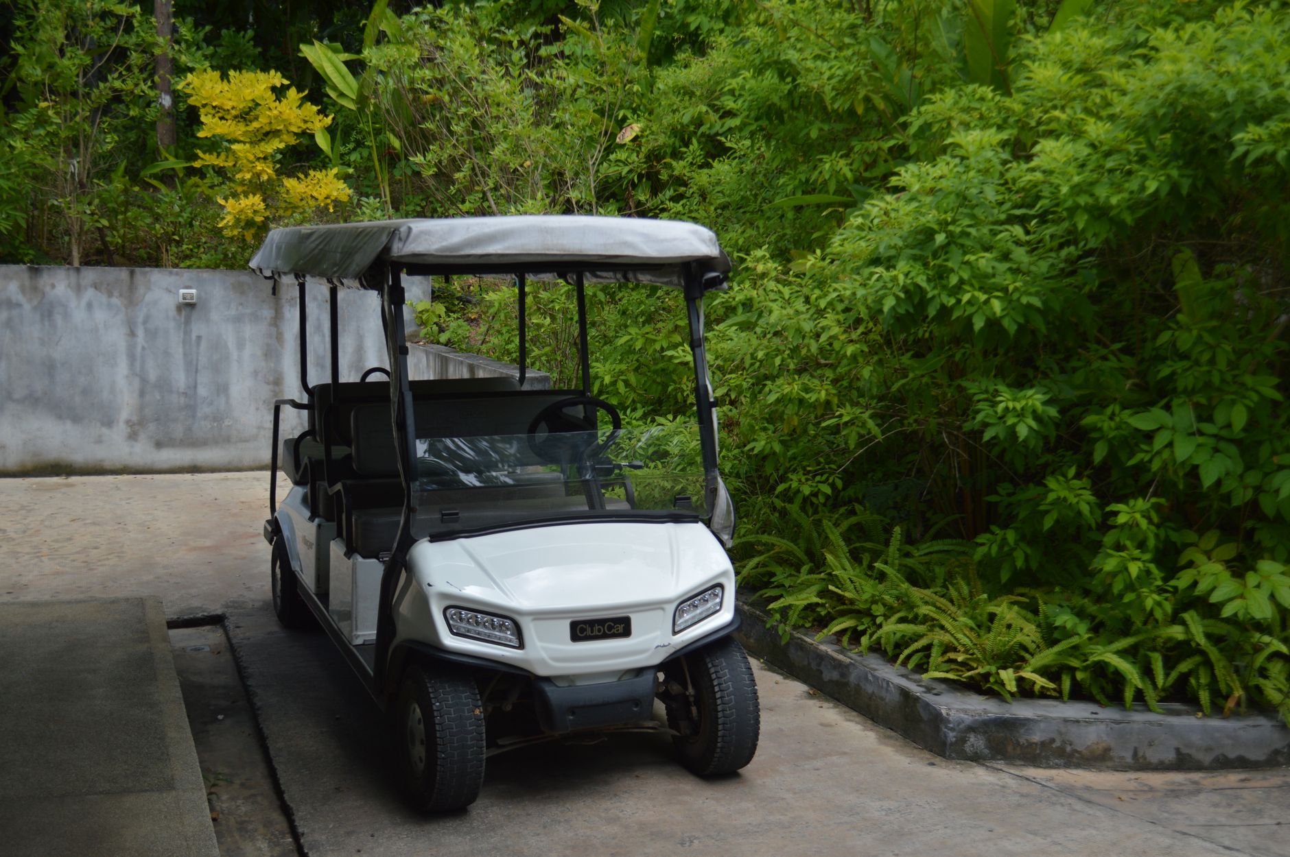 A white golf cart parked outdoors surrounded by lush green foliage, ideal for resort transport.
