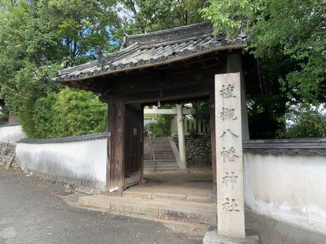 Nara day trip with temple and deer park — Kyoto