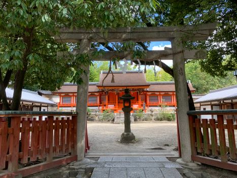 Nara day trip with temple and deer park — Kyoto