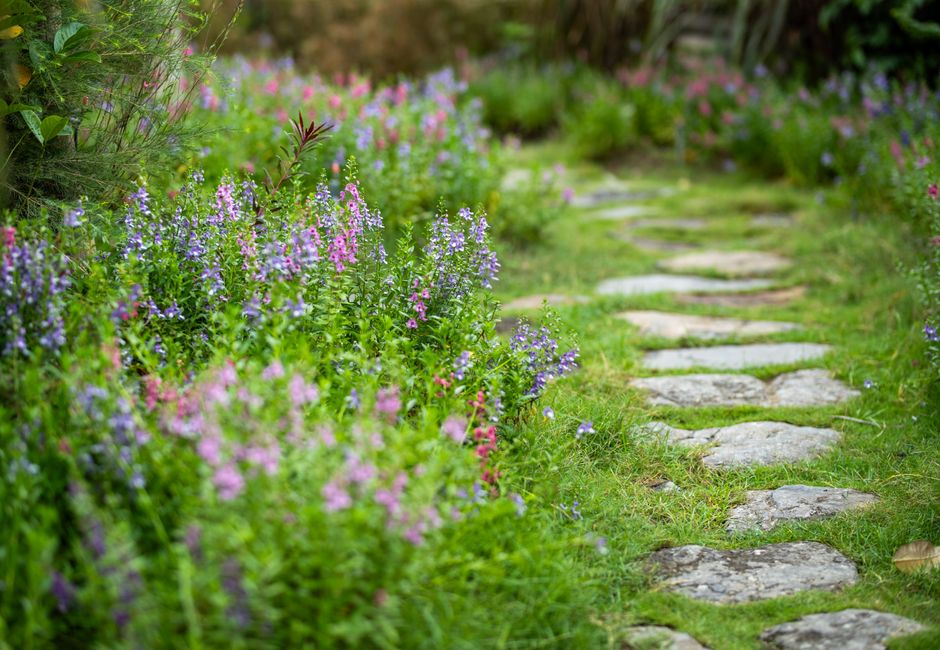 Garden Transformations