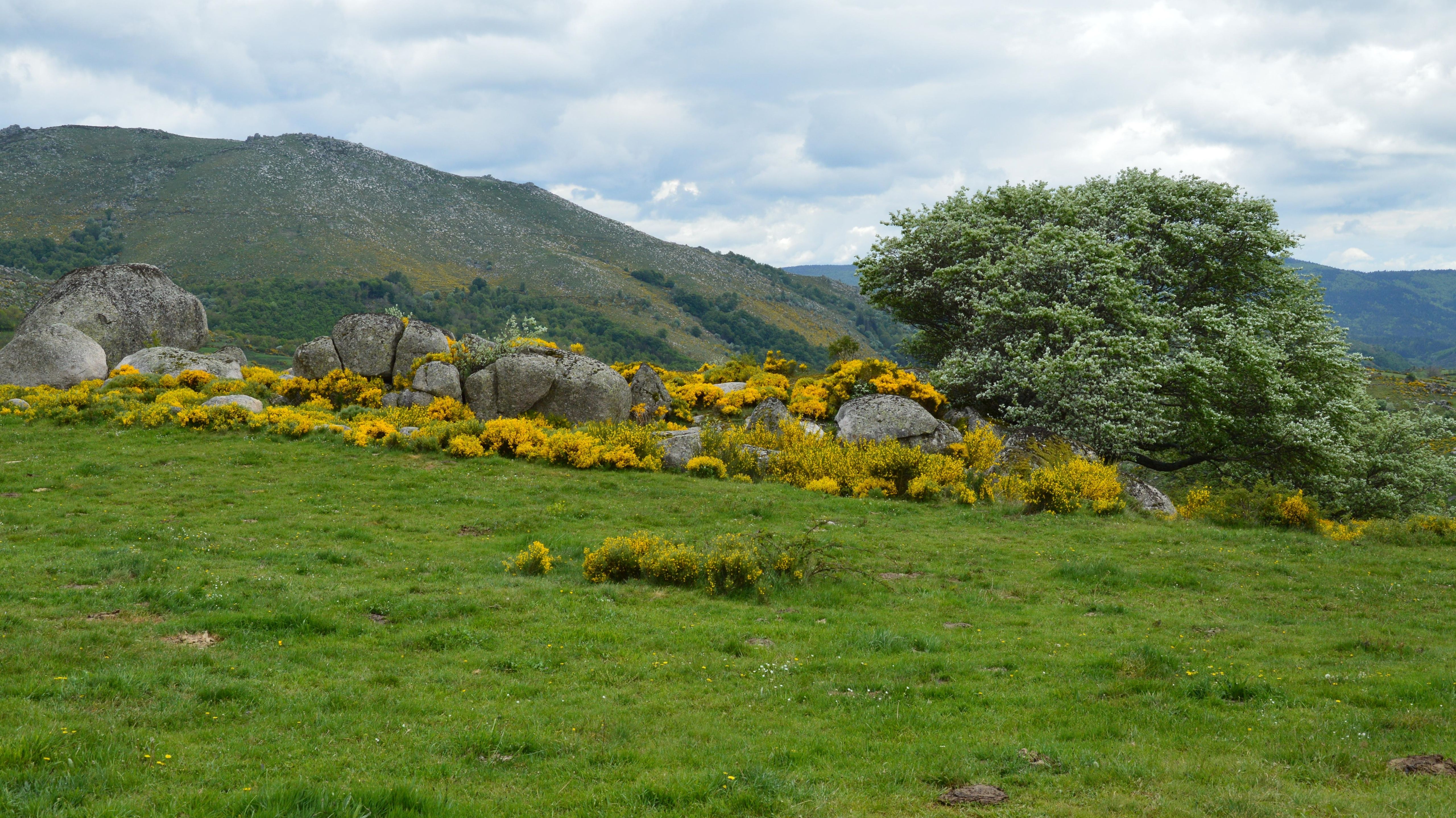 Scenic Landscape of Pont de Montvert, France