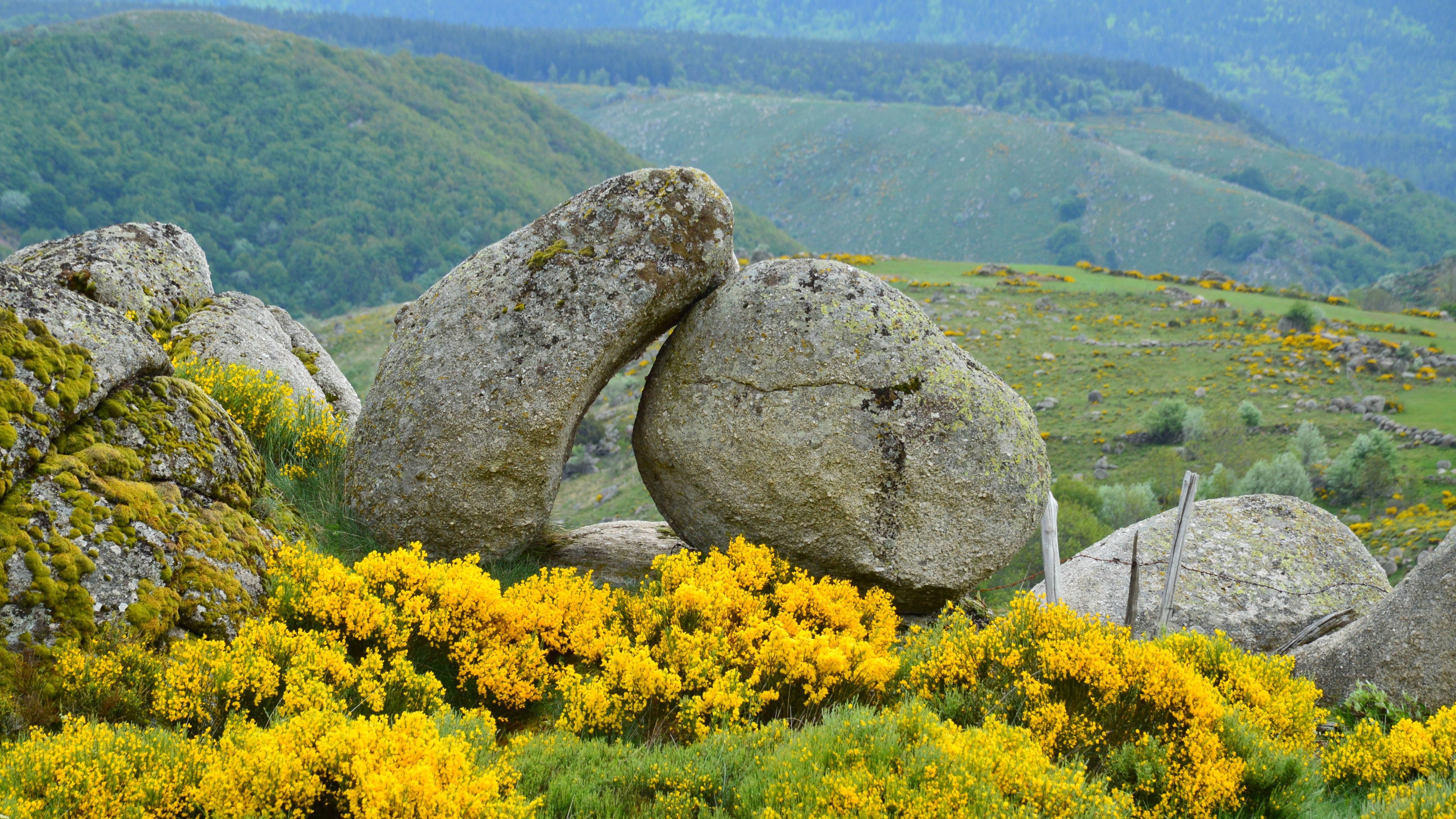 Scenic Spring Landscape in Pont de Montvert, France