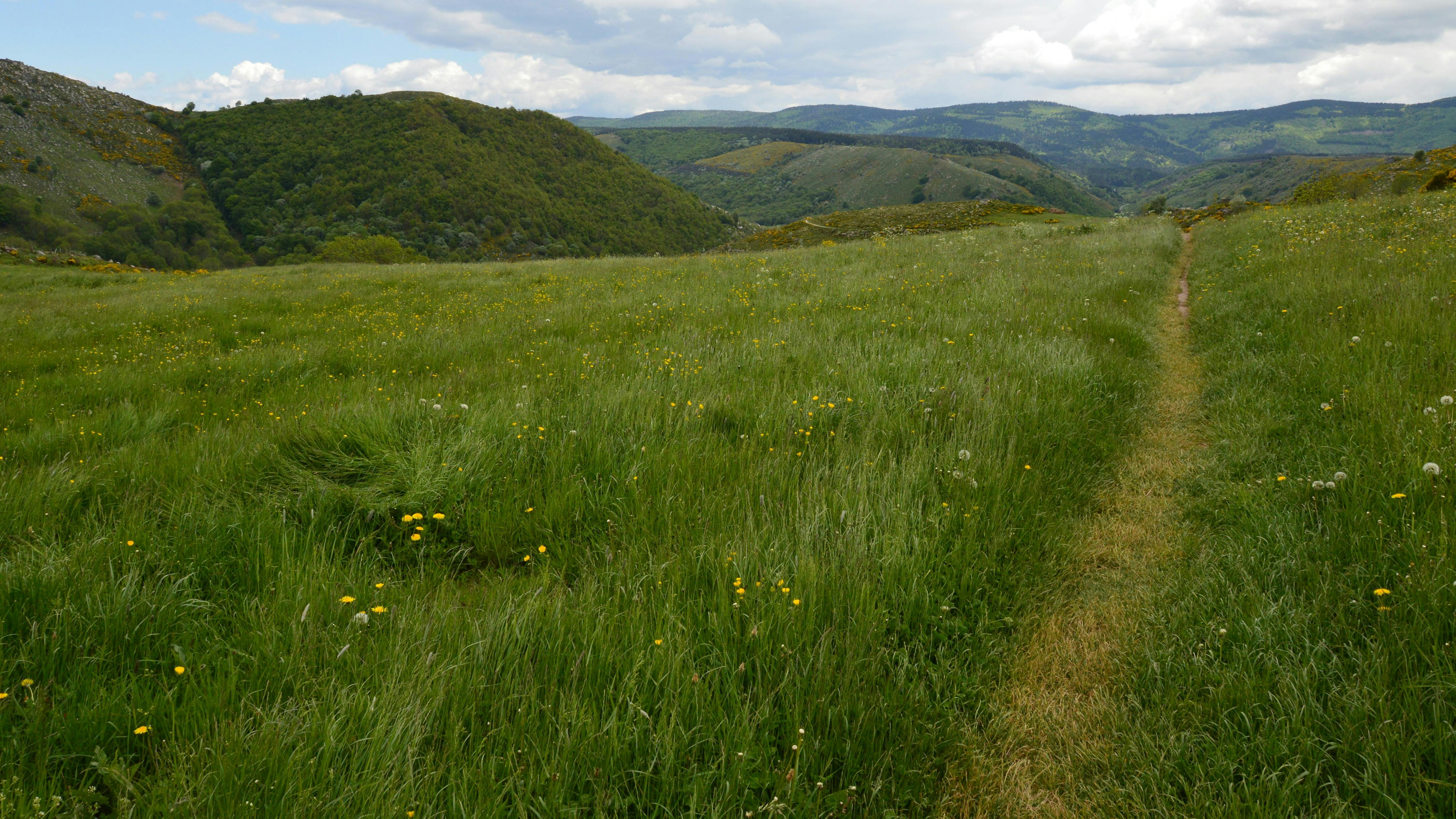 Chemin de Stevenson GR70