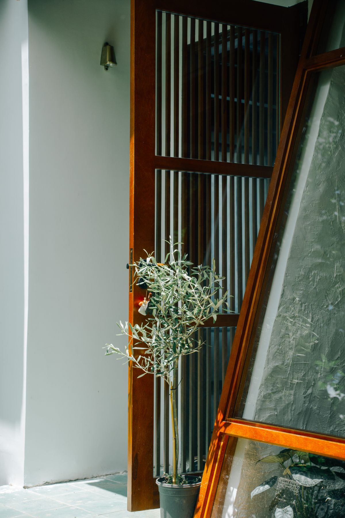 Modern entryway with wooden door and potted plant
