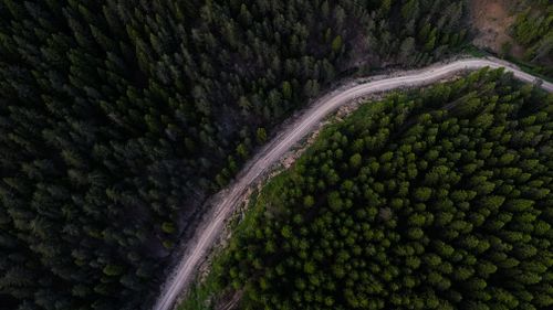 Free Aerial view of a winding road through a lush forest, emphasizing dense greenery and serene landscape. Stock Photo
