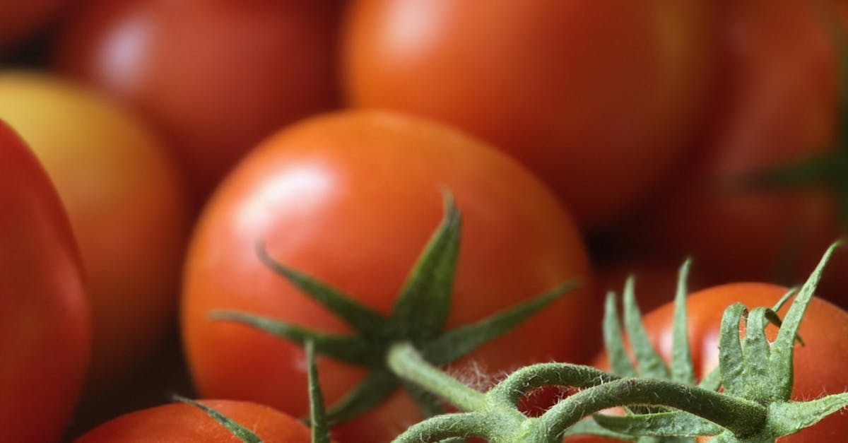空心菜青蔥價格飆破百元 菜市場驚呆了