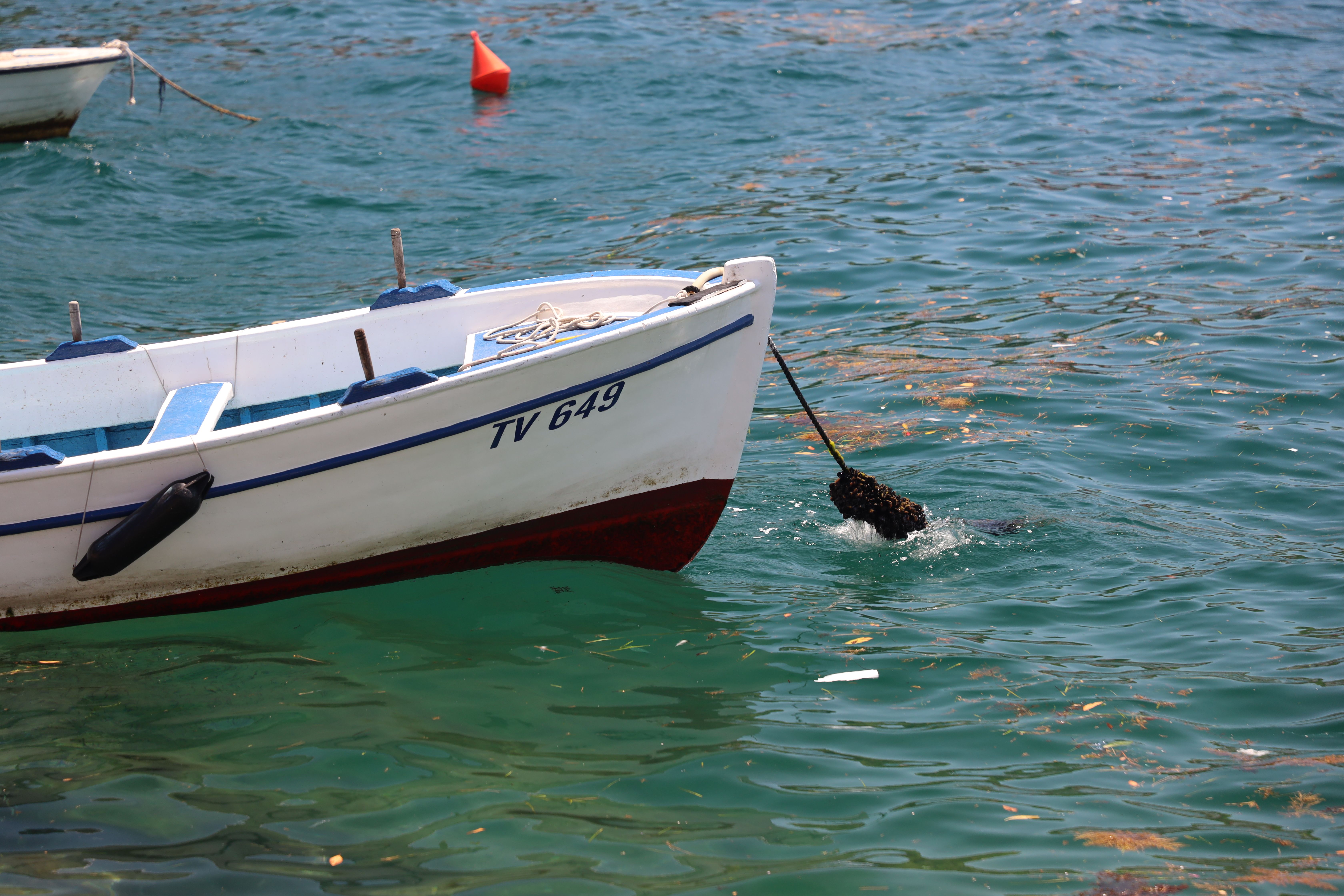 White Boat Moored in Clear Blue Sea Water · Free Stock Photo