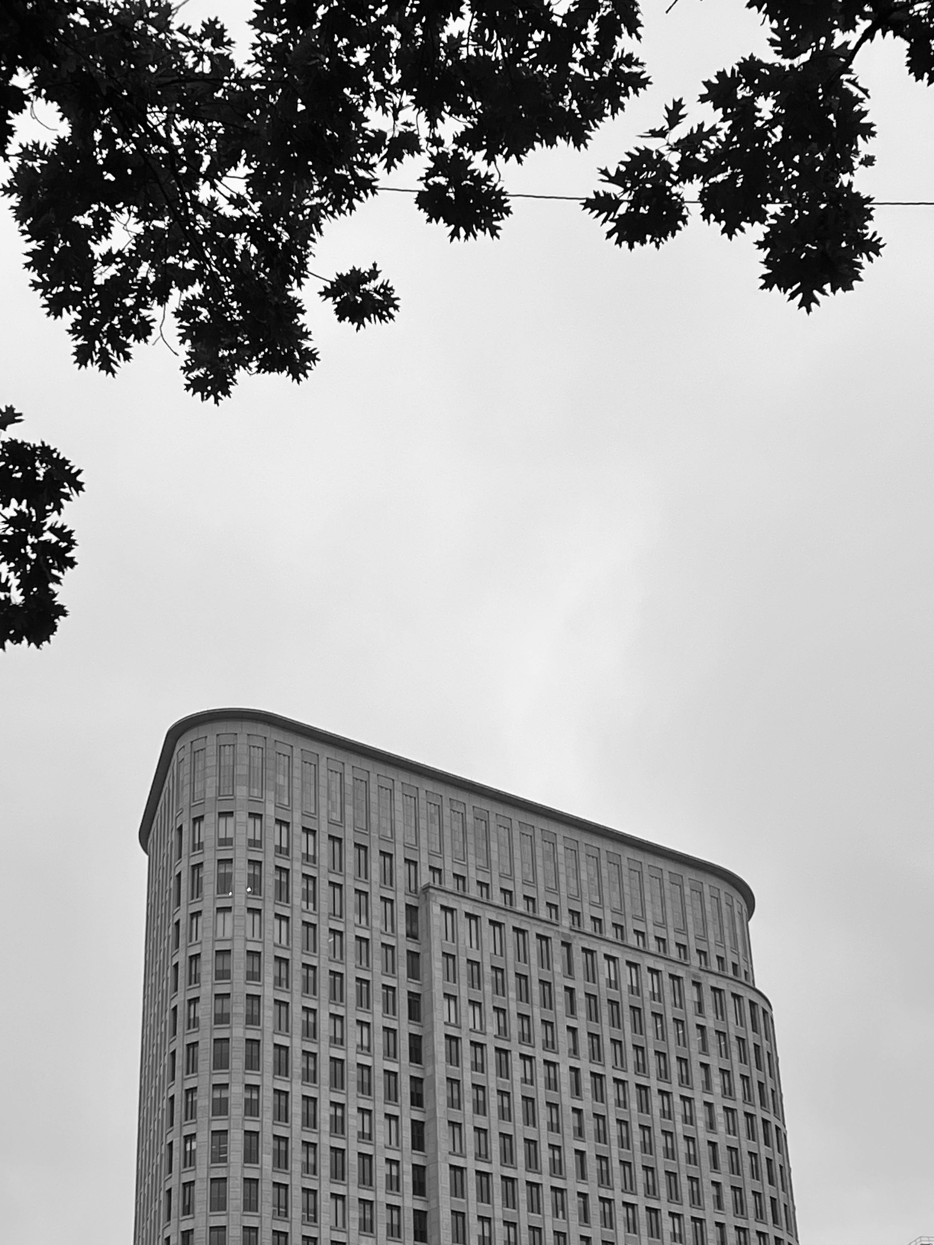 Free Black and white photo of a modern skyscraper framed by tree branches against a cloudy sky. Stock Photo