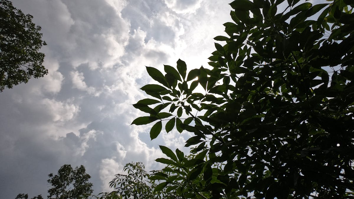 Assembling a salmon grain bowl with vegetables, grains, and sauce