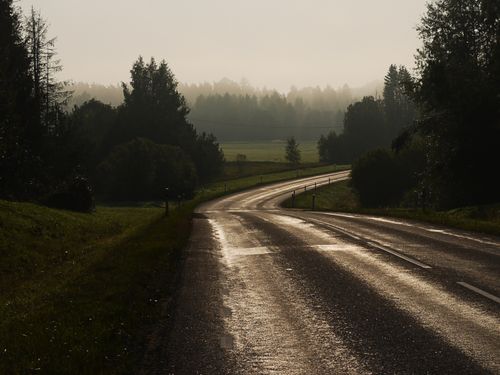 Free A winding countryside road at sunrise, surrounded by misty forests and a peaceful atmosphere. Stock Photo