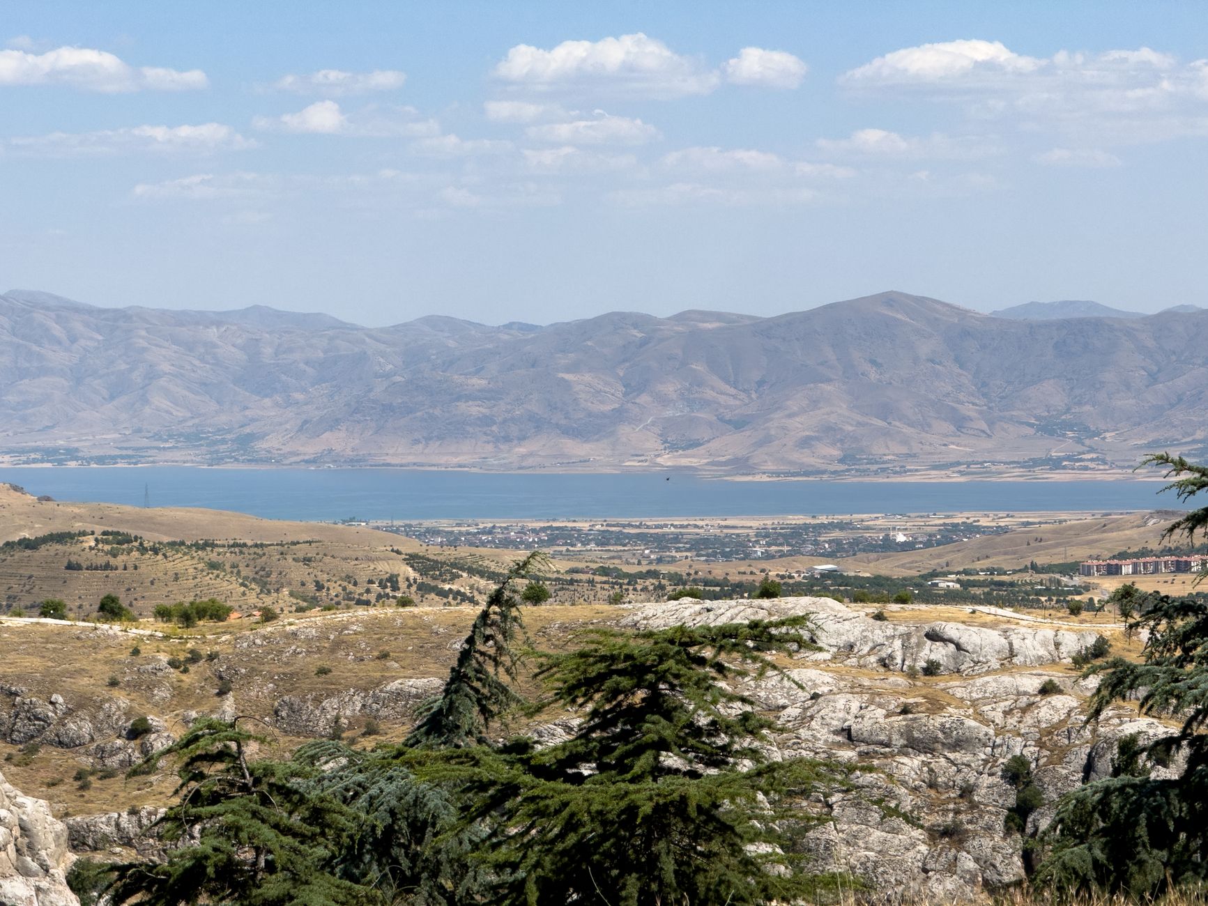 Arda Kılıç
