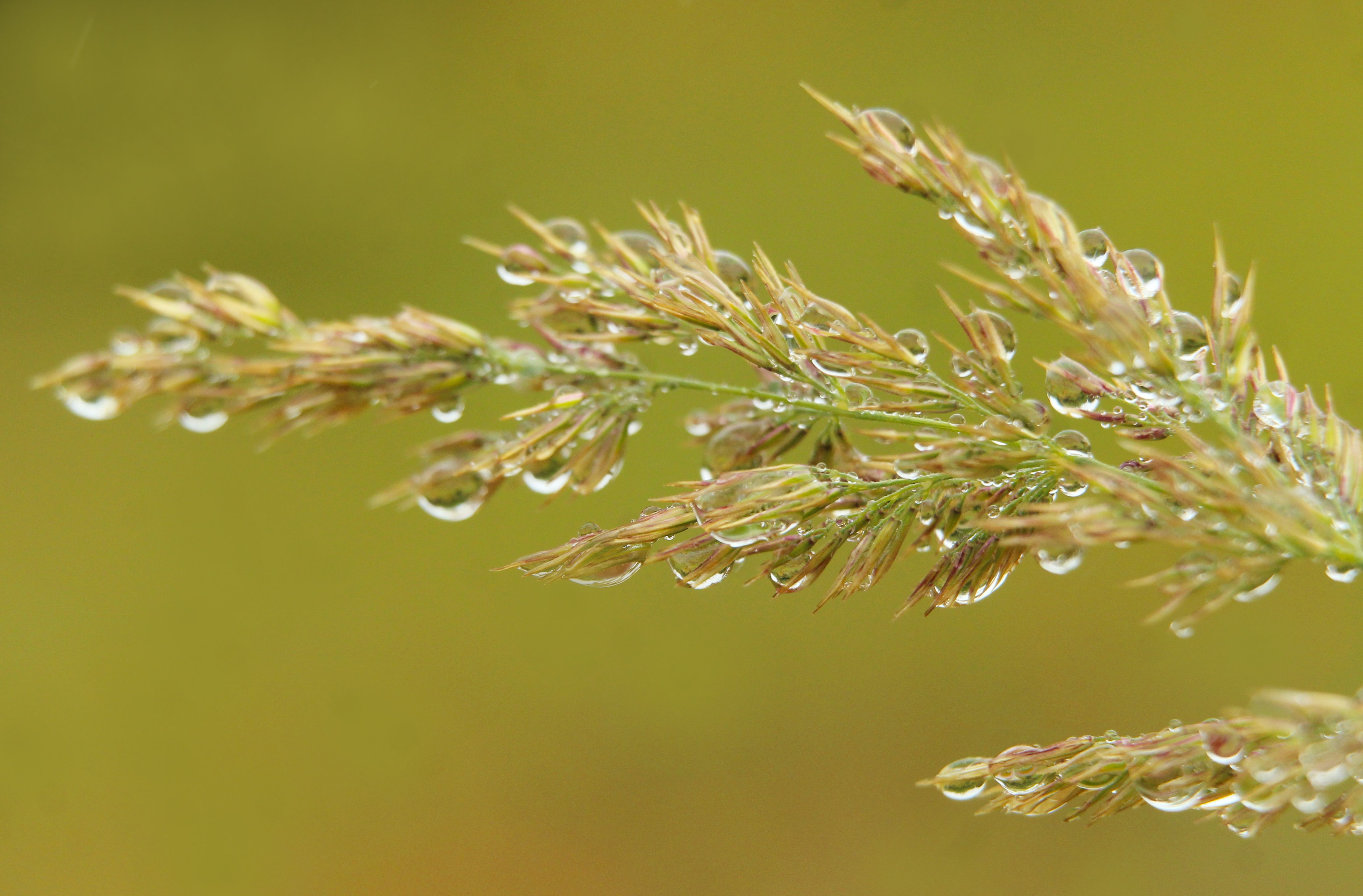 Blur In Background Photos, Download The BEST Free Blur In Background ...