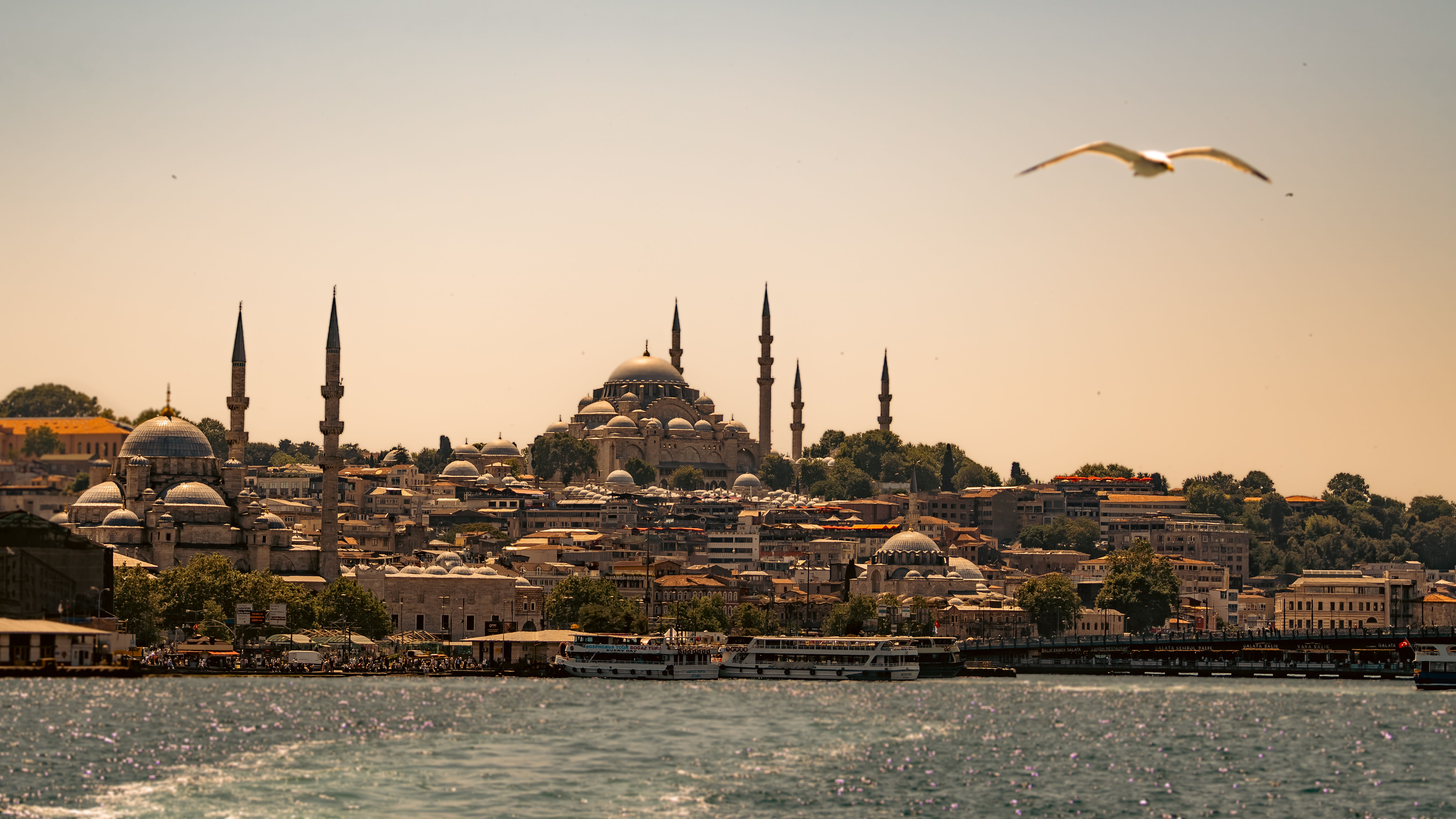 Stunning View of Istanbul's Iconic Skyline · Free Stock Photo