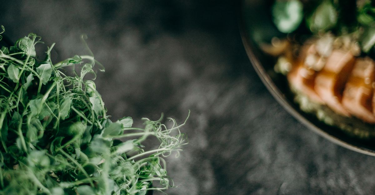Alfalfa Sprouts Linked to E. coli and Salmonella Outbreak Across U.S.