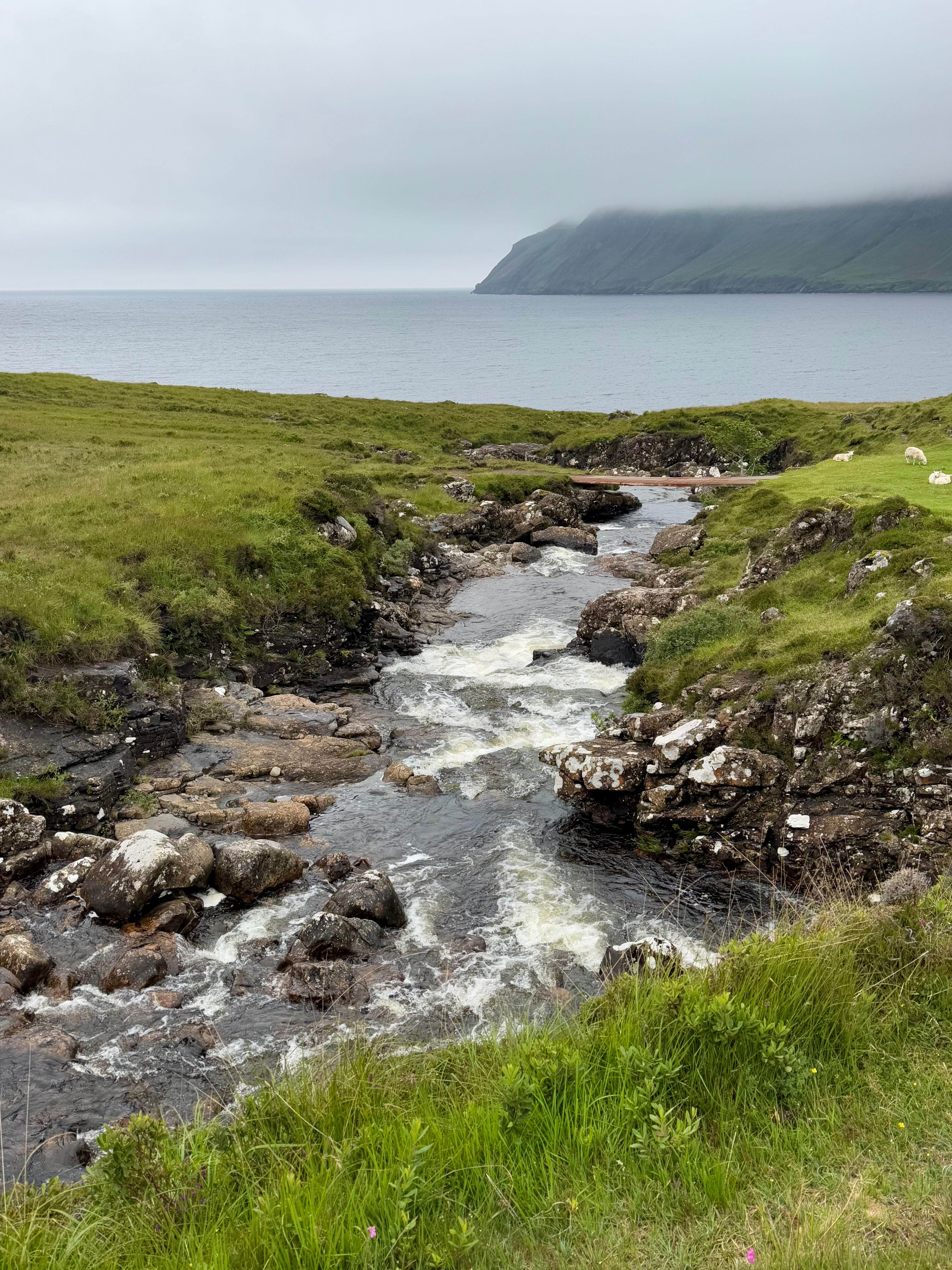 Scenic Stream and Ocean View in Rugged Landscape · Free Stock Photo