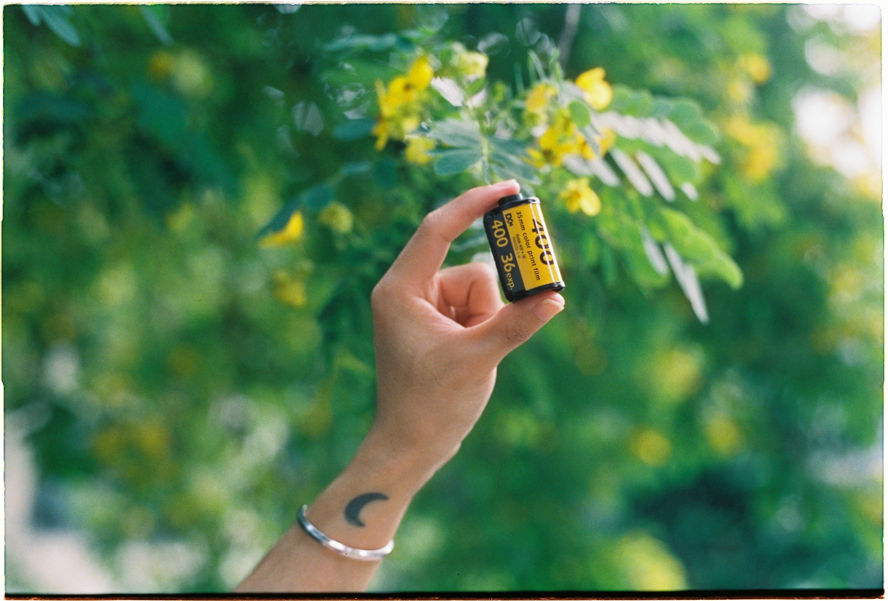 A close-up of a hand with a tattoo holding a 35mm film roll outdoors with greenery.
