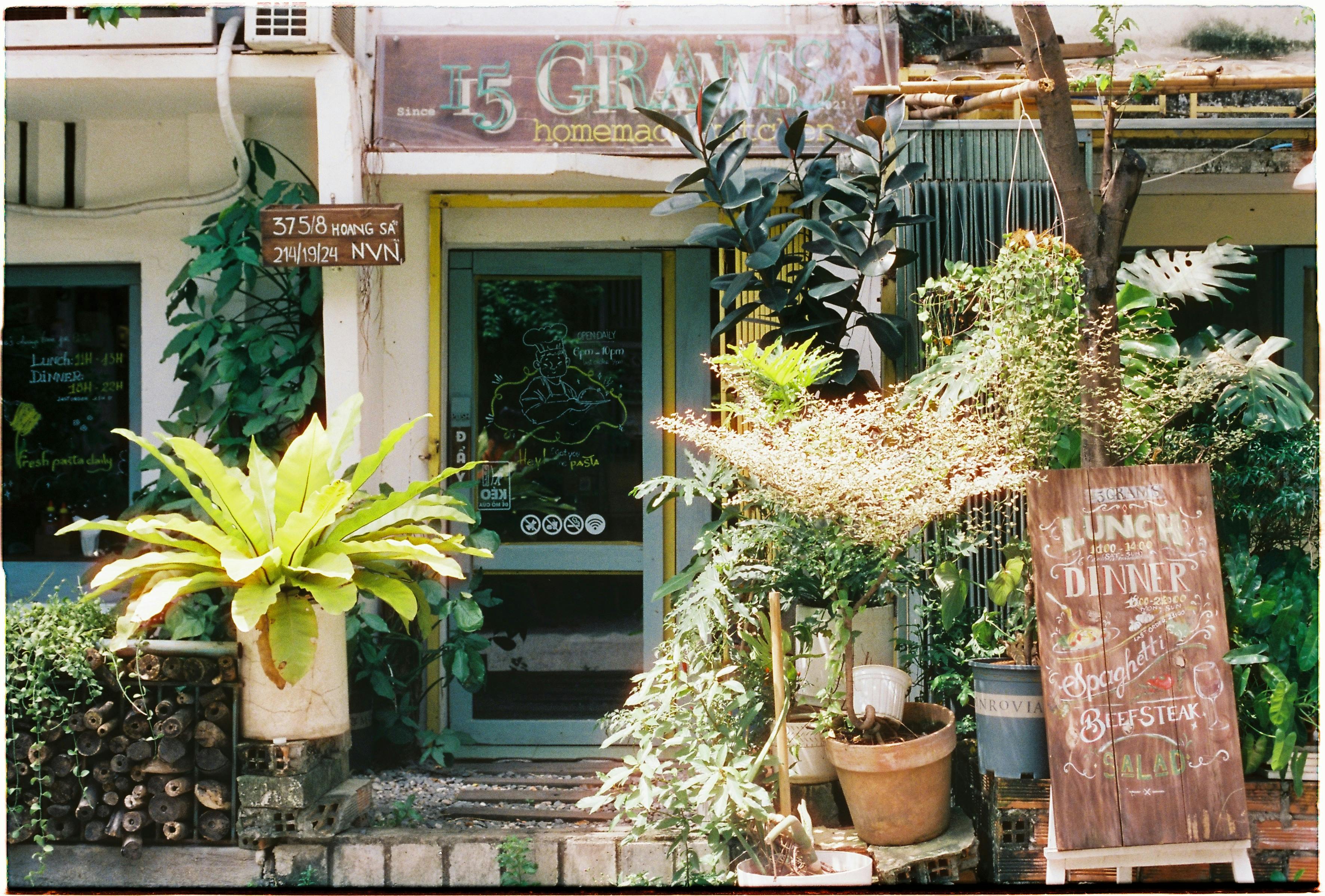A cozy cafe entrance adorned with plants and a rustic menu board, inviting ambiance.