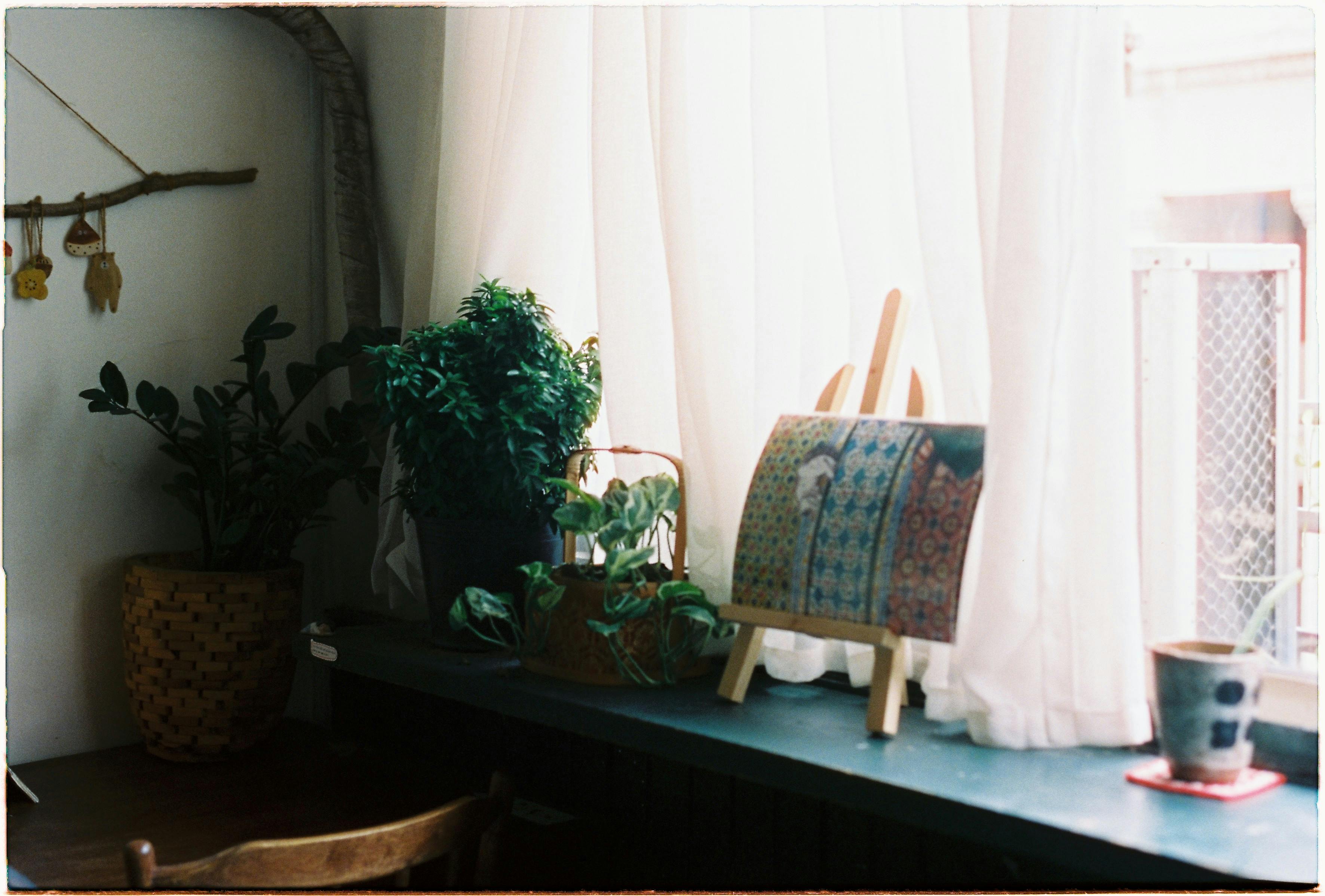 Gratuit Imagine de stoc gratuită din #de interior, acasă, afișare artistică Fotografie de stoc