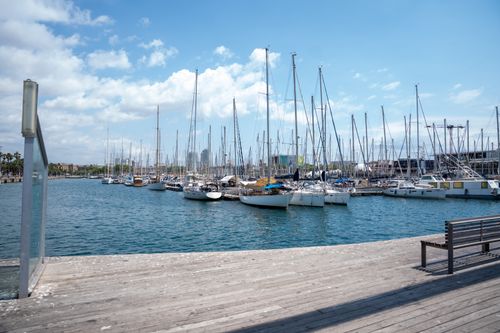 Free A sunny marina filled with docked sailboats against a city skyline under a partly cloudy sky. Stock Photo