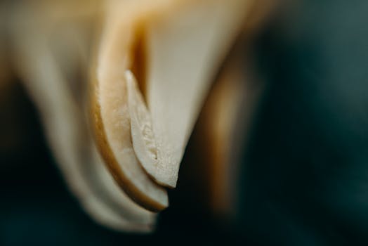 深色背景上，蘑菇片的特写细节清晰地展现了其纹理与色彩的对比