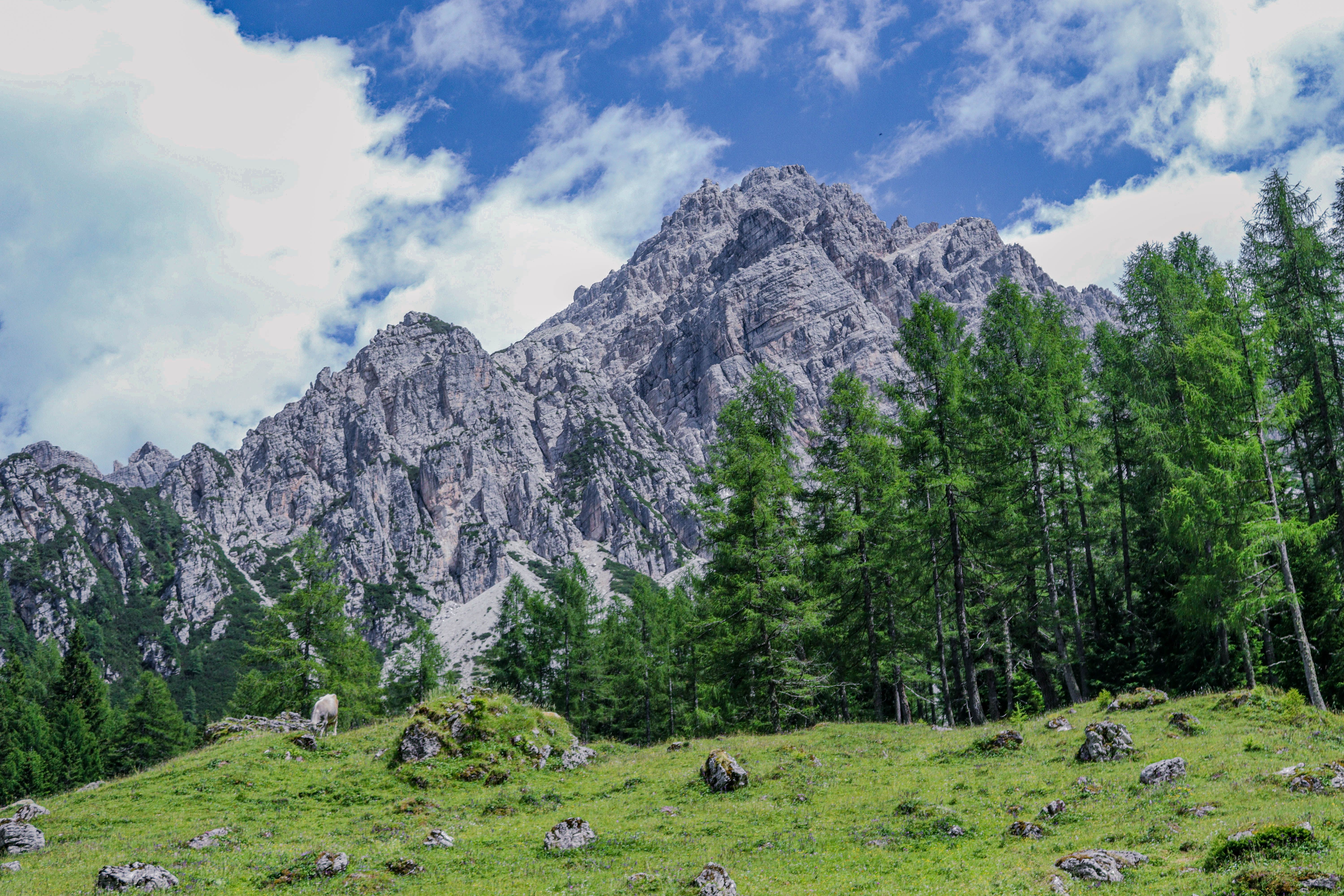 Scenic Mountain Landscape with Lush Greenery · Free Stock Photo