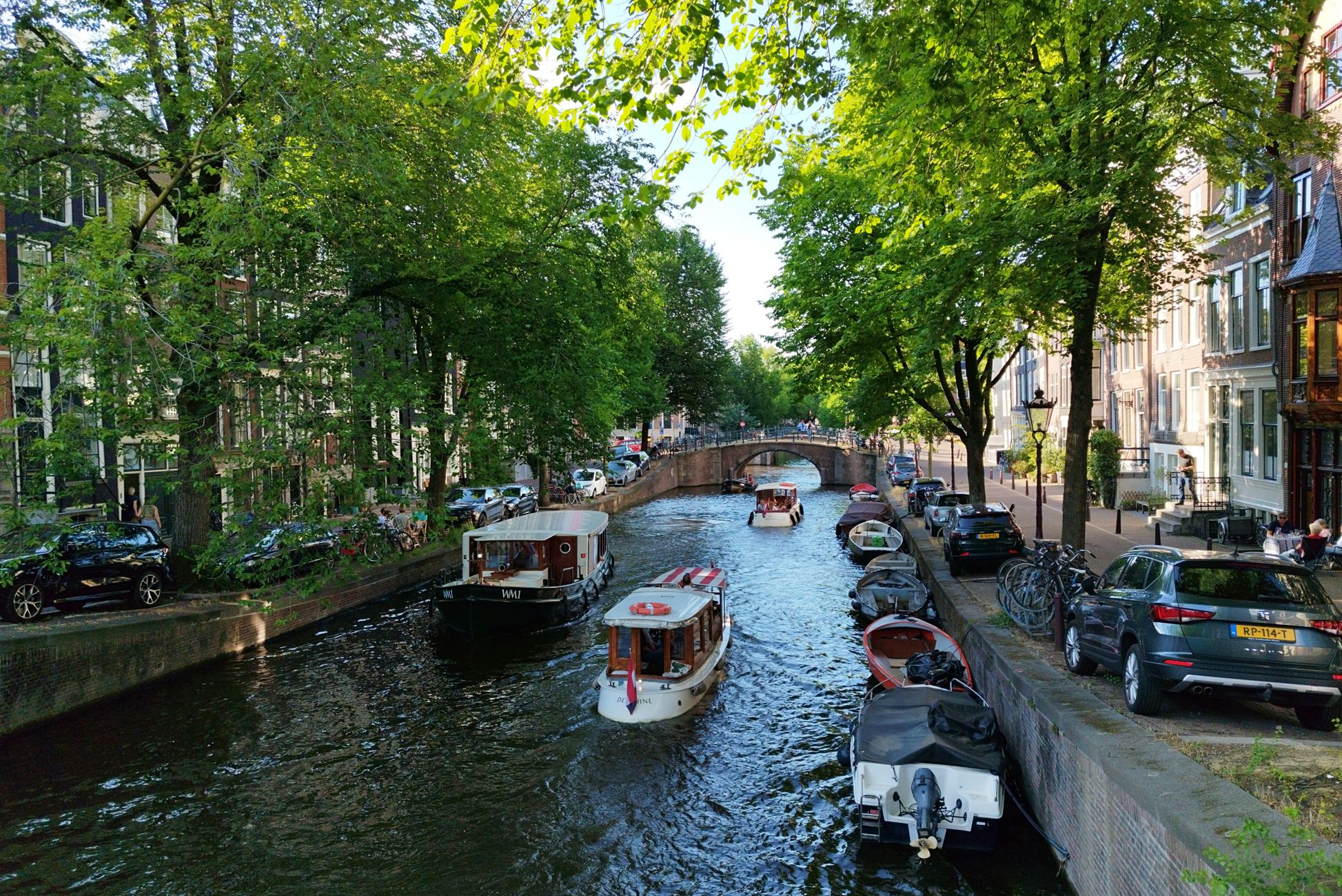 AI-recensie Tripadvisor prijst geroosterde muis en rauwe kip