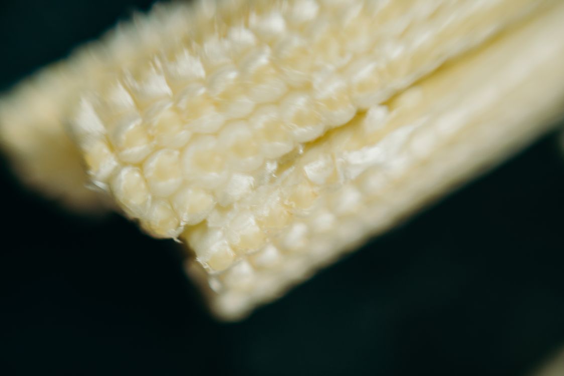 Free A detailed close-up of fresh young corn showcasing its natural texture and freshness. Stock Photo