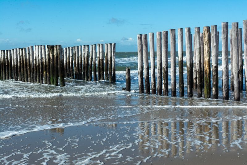 Rows of weathered wooden breakwater posts standing fixed as ocean waves surge past