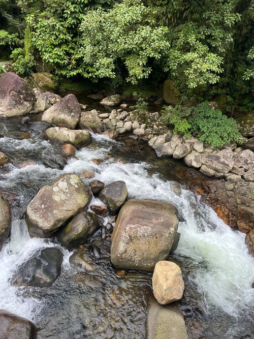 Free A tranquil river flowing through rocks with surrounding lush greenery in a serene setting. Stock Photo