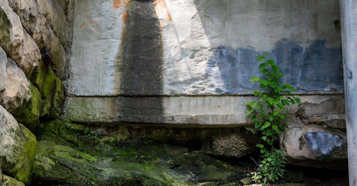 夏日驚艷 野孩子生活節 7 19北市客家文化主題公園熱情登場