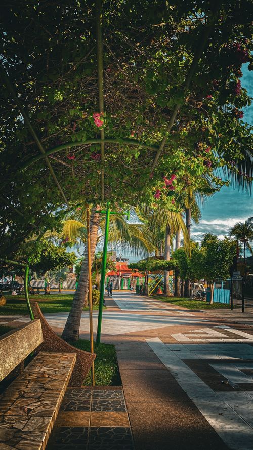 Free PARQUE RIO NEGRO - SATIPO  Stock Photo
