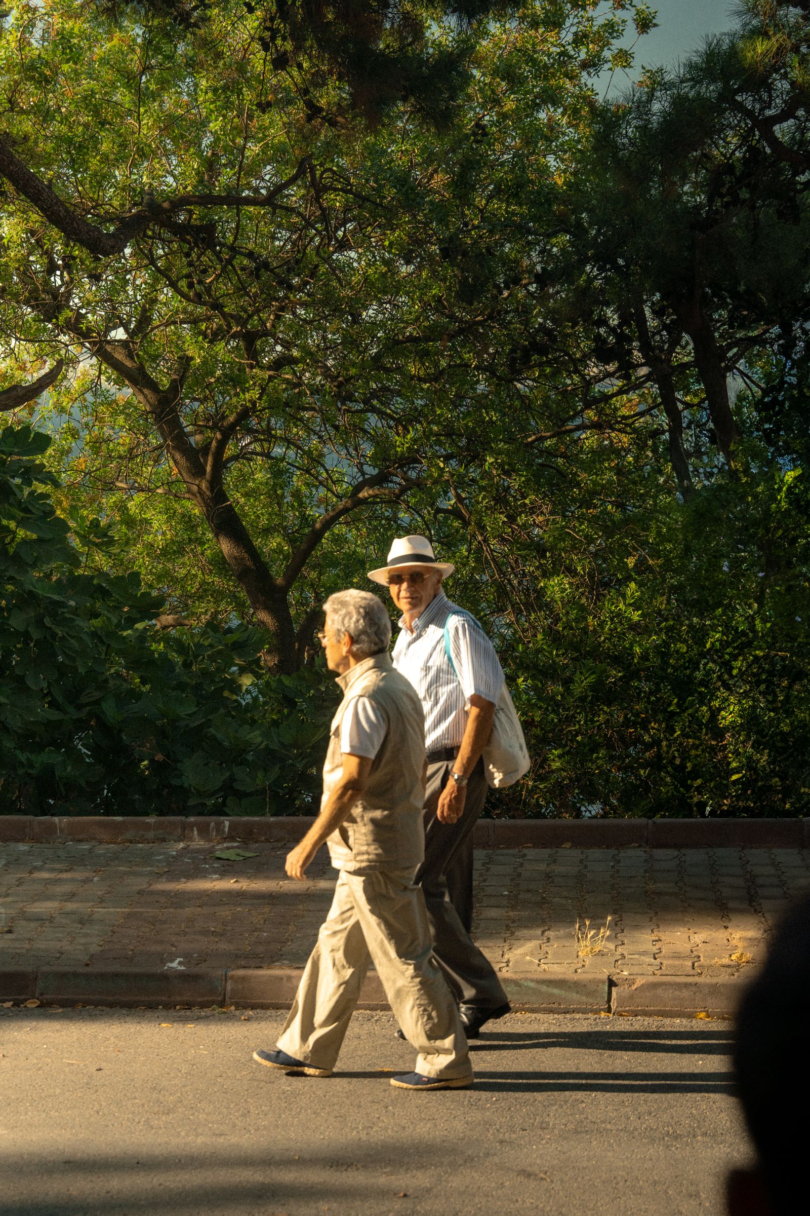 Older men walking outdoors on a sunny day.