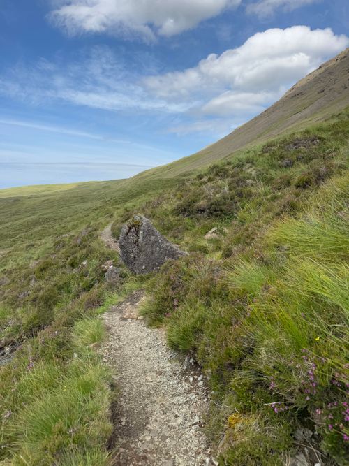 Free A serene hiking trail winds through grassy mountain terrain under a clear blue sky. Stock Photo