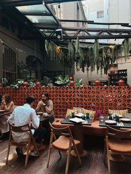 Stylish café interior with diners enjoying meals, lush greenery, and warm decor.