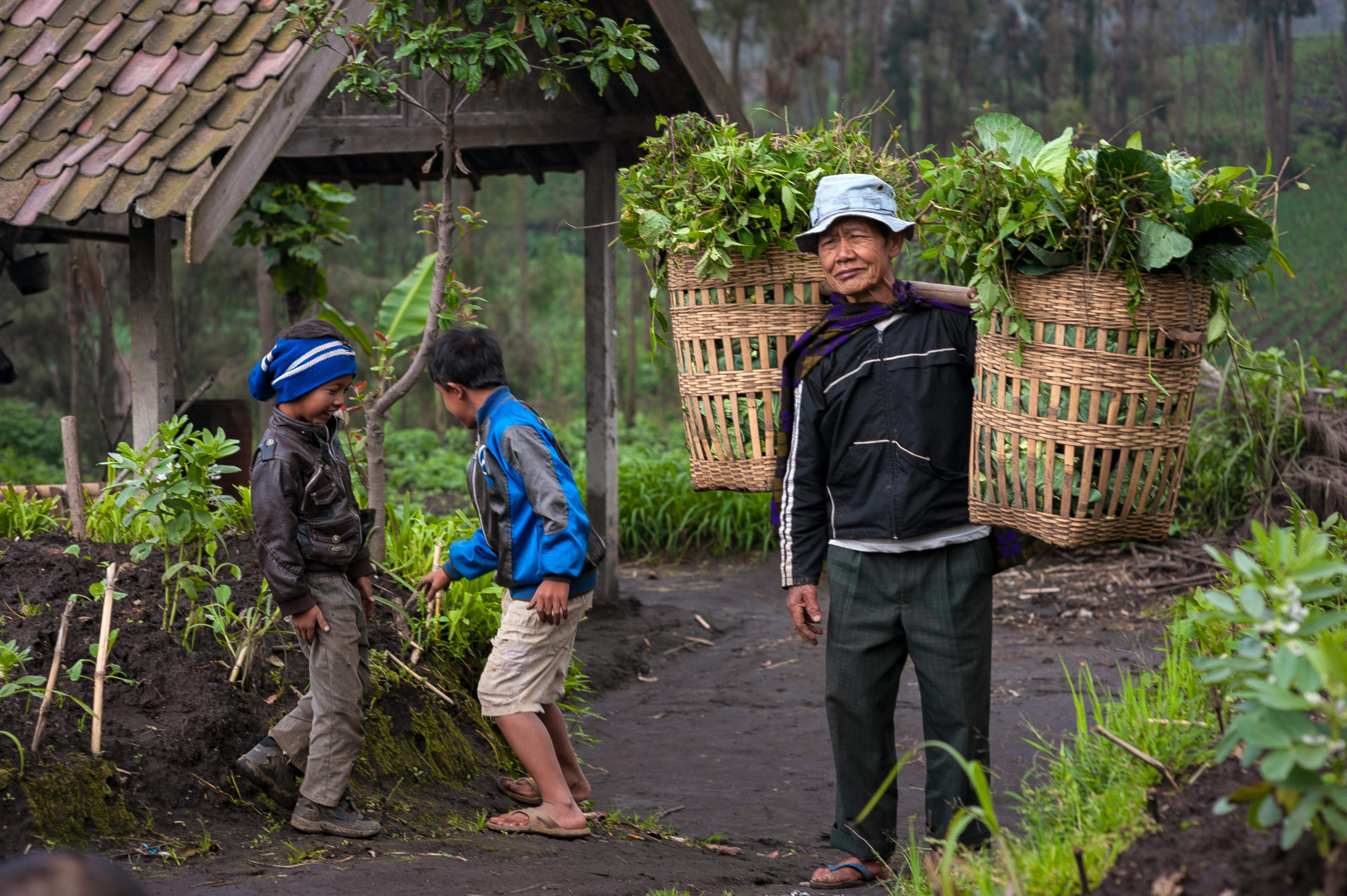 Understanding Indigenous Knowledge and Its Significance in Preserving Heritage